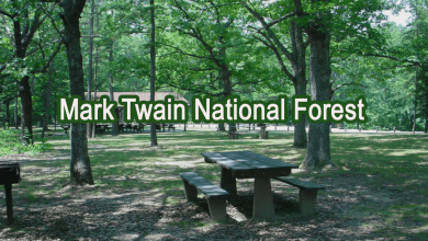 Mark Twain National Forest - Missouri 5 mark twain national forest
