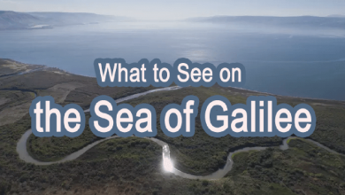 Sea of Galilee - What Best to See 7 Sea of Galilee