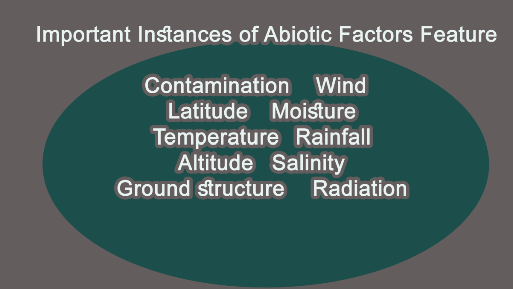 Abiotic Factors- What Are Actually Abiotic Factors