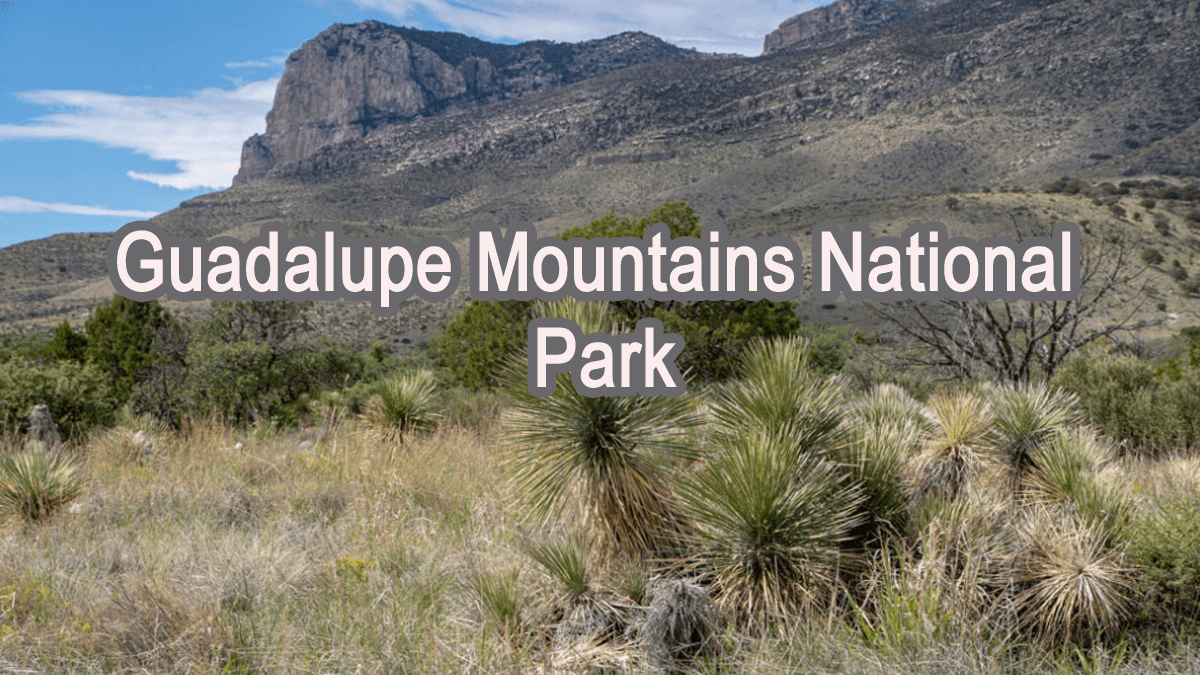 Guadalupe Mountains National Park 1 guadalupe mountains national park