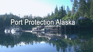 Is Your Port Protection Company Ignoring Its Duty To Maintain Safe Port 7 Port protection