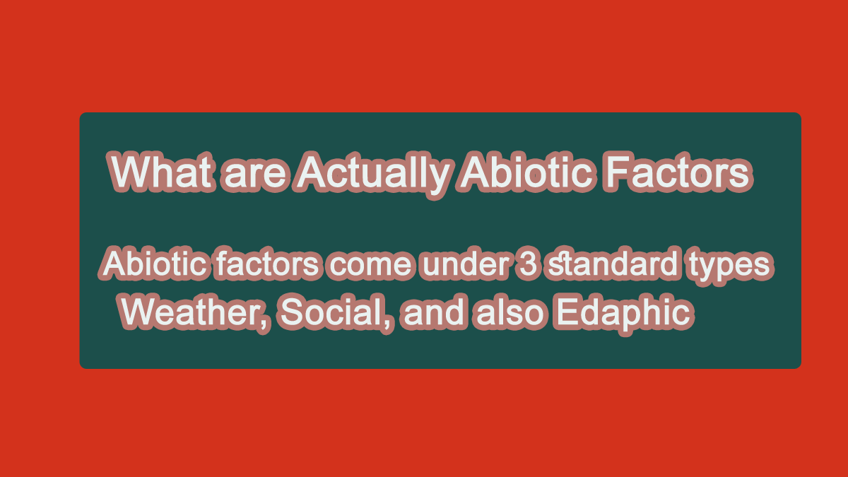what are abiotic factors