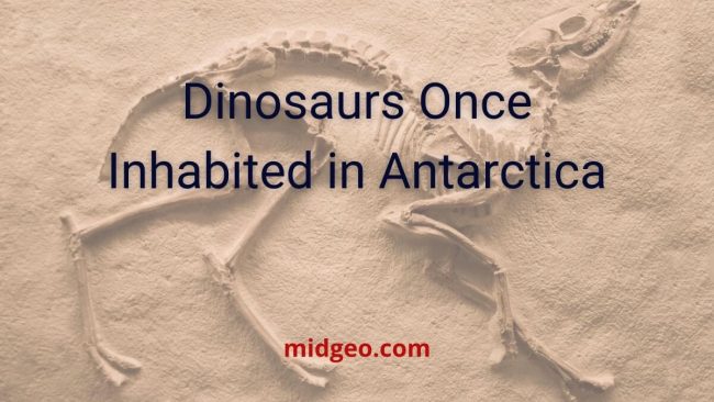 6 Interesting Facts About Antarctica That You Might Not Know 4 Dinosaurs Once Inhabited in Antarctica