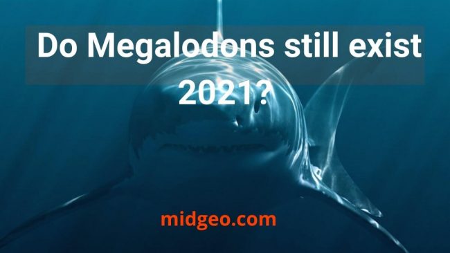 Did Fishermen Off The Coast Of Australia Encounter A Giant Megalodon Shark? 9 Do Megalodons still exist 2021?