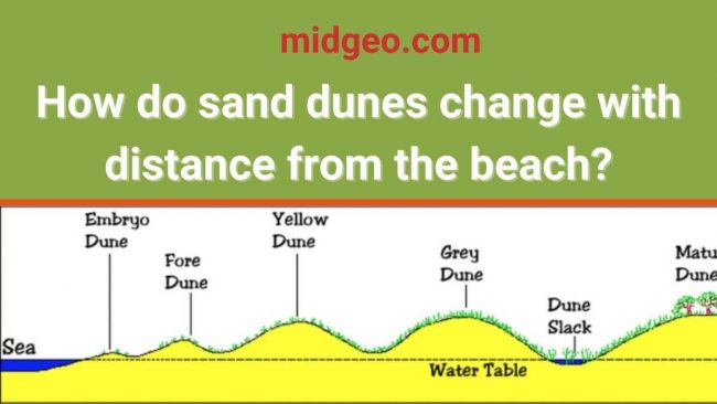 How are sand dunes formed step by step 4 How do sand dunes change with distance from the beach?