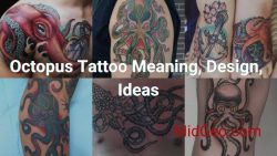 What Does an Octopus Tattoo Mean