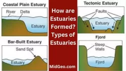 How are Estuaries Formed? Types of Estuaries