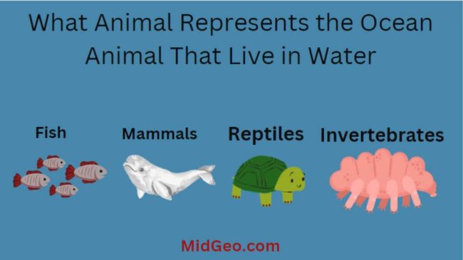 What Animal Represents the Ocean Animal That Live in Water 2 What Animal Represents the Ocean Animal That Live in Water