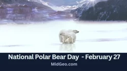 National Polar Bear Day February 27
