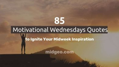 85 Motivational Wednesday Quotes to Ignite Your Midweek Inspiration 2 85 Motivational Wednesday Quotes to Ignite Your Midweek Inspiration