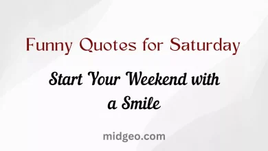 38 Funny Quotes for Saturday: Start Your Weekend with a Smile 2 Funny Quotes for Saturday