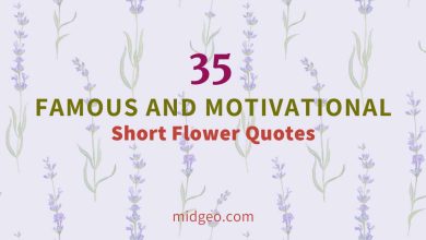 35 Famous And Motivational Short Flower Quotes 3 35 Famous And Motivational Short Flower Quotes