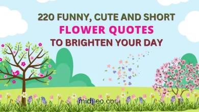 Funny, Cute, And Short Flower Quotes