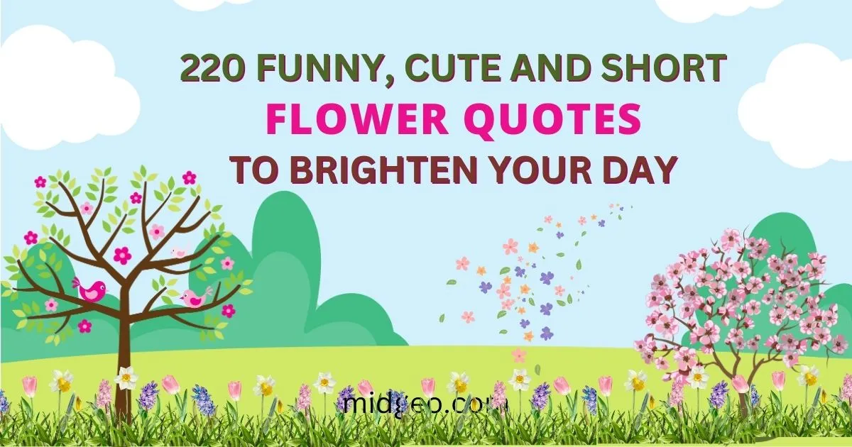 240 Funny, Cute, And Short Flower Quotes to Brighten Your Day 1 Funny, Cute, And Short Flower Quotes