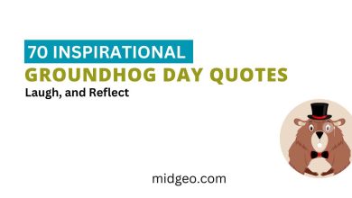 70 Inspirational Groundhog Day Quotes & Easy Crafts for Toddlers 6 Inspirational Groundhog Day Quotes