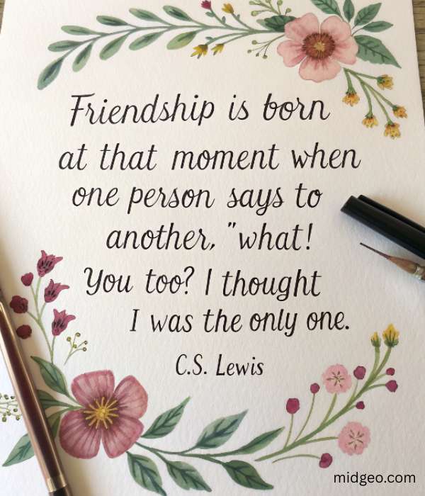 90 Touching Friendship Quotes and Saying for Lifelong Memories 3 best friend quotes (1)