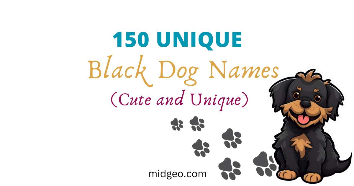 150-unique-black-dog-names-for-your-pup-s-distinctive-personality