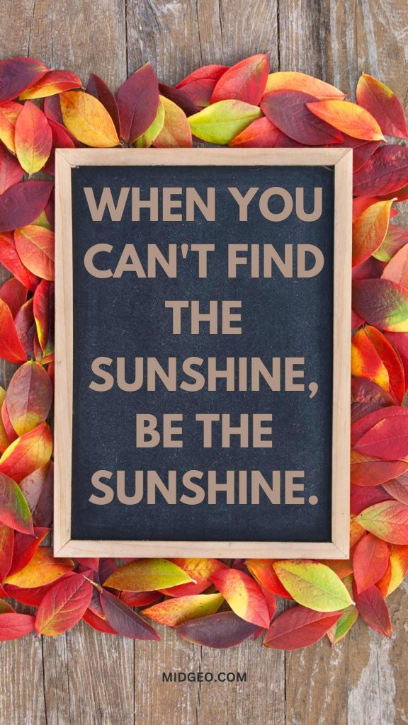 115 Funny and Inspirational Fall Letter Board Quotes 3 Funny and Inspirational Fall Letter Board Quotes