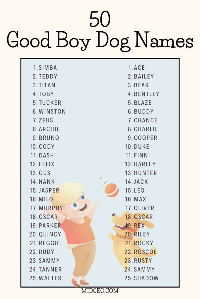 150+ Unique Boy Dog Names with Meaning (Cute and Creative) 3 Good Boy Dog Names