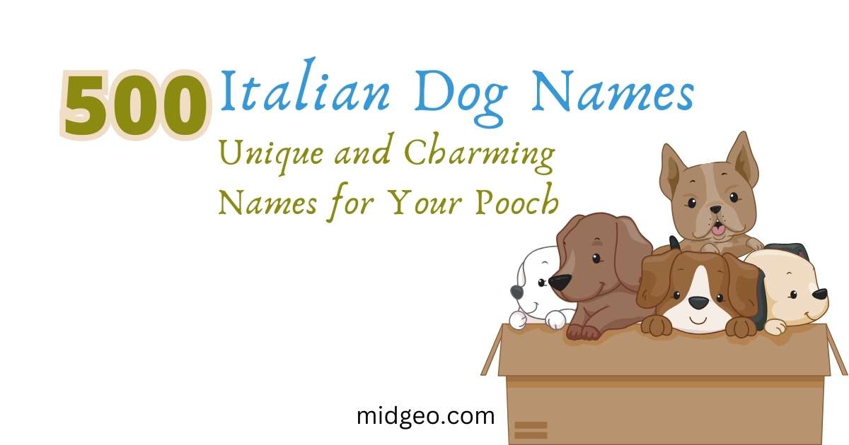 500 Italian Dog Names: Unique and Charming Names for Your Pooch 1 Italian Dog Names