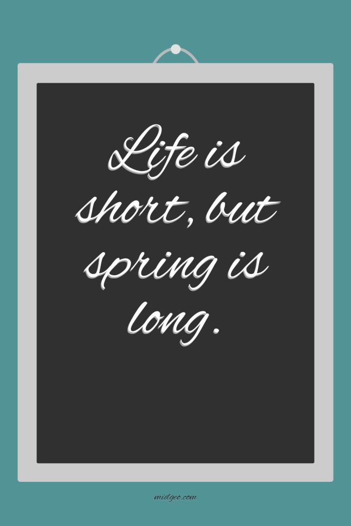150 Spring Letter Board Quotes: Inspiring and Funny Messages for Your Board 2 Life is short but spring is long