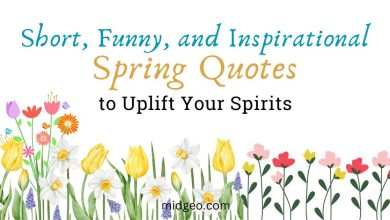 120 Short, Funny, and Inspirational Spring Quotes to Uplift Your Spirits 12 Short, Funny, and Inspirational Spring Quotes to Uplift Your Spirits