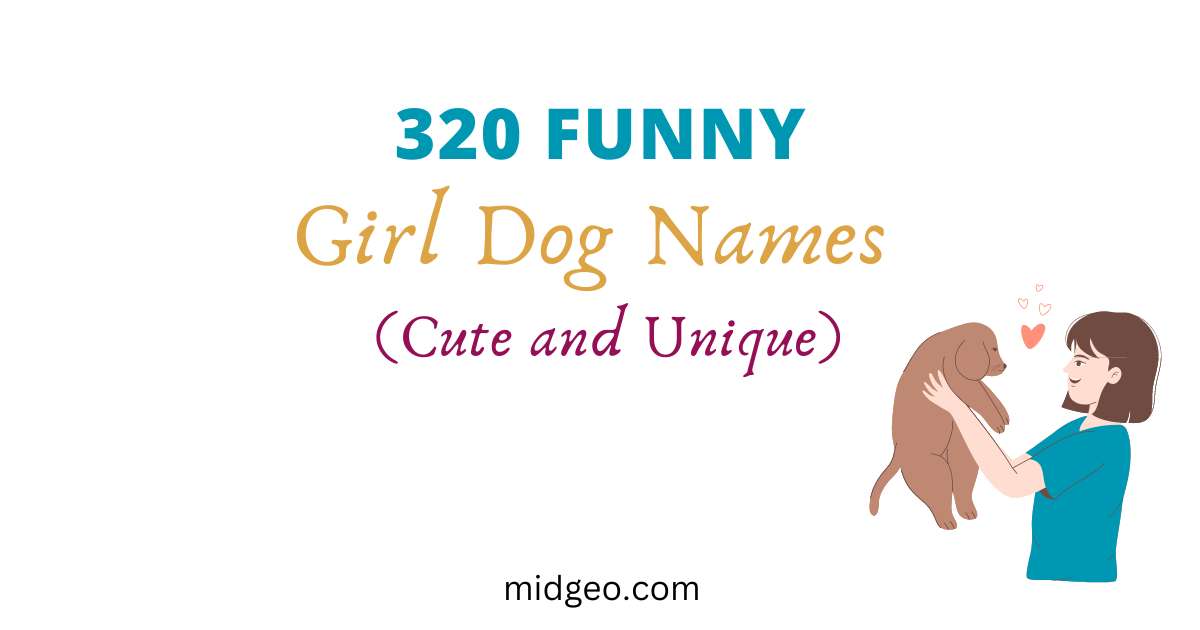 320 Cute, Unique, Funny Girl Dog Names