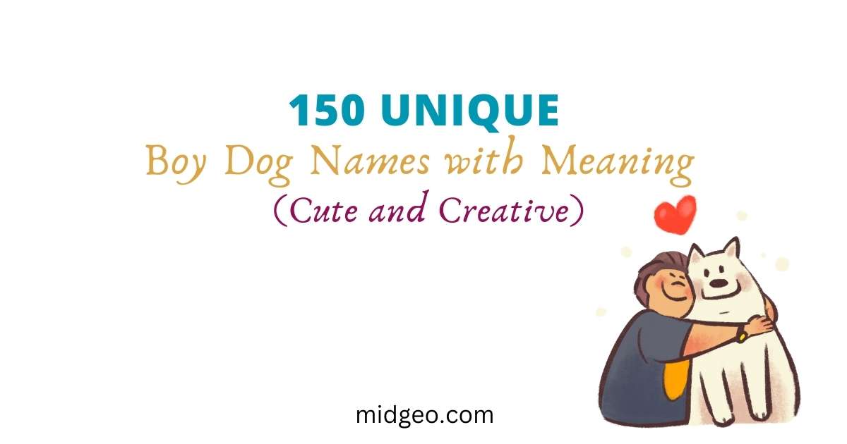 150+ Unique Boy Dog Names with Meaning (Cute and Creative) 1 unique boy dog names with meaning