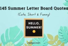 145 funny Summer Letter Board Quotes
