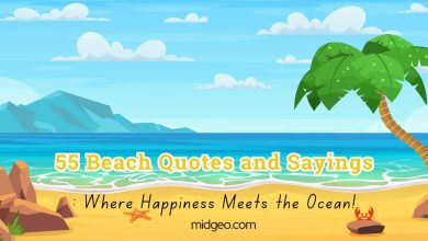 55 Beach Quotes and Sayings Where Happiness Meets the Ocean