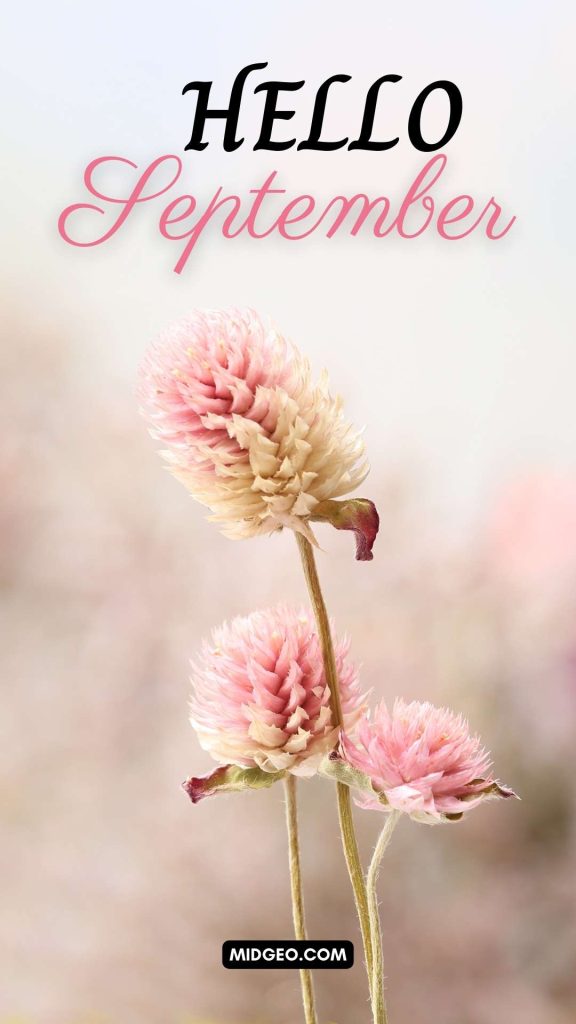 Hello September Quotes (2025): Welcome the Month with Love, Laughter & New Beginnings 2 Hello September Quotes & Instagram Captions