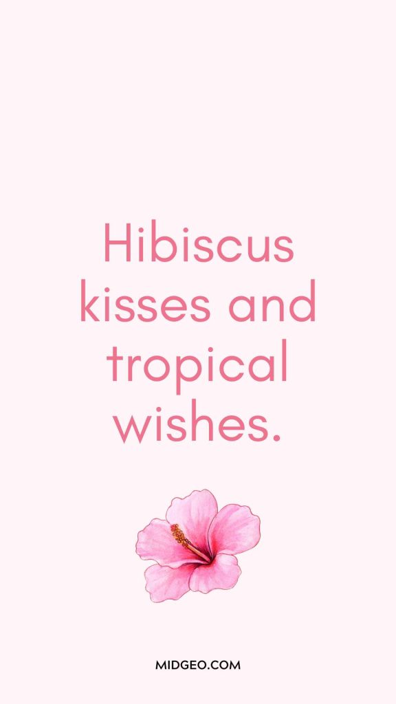 70 Funny & Short Hibiscus Flower Quotes to Inspire Your Instagram Feed 3 Hibiscus Flower Quotes for Instagram