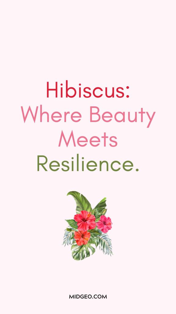 70 Funny & Short Hibiscus Flower Quotes to Inspire Your Instagram Feed 2 Short Hibiscus Flower Quotes hawaiian hibiscus
