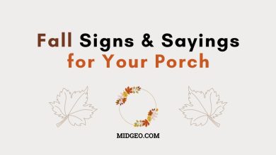 Fall Signs and Sayings for Your Porch