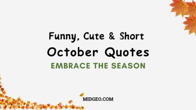 30 Funny, Cute & Short October Quotes Embrace the Season 16 Funny, Cute & Short October Quotes Embrace the Season
