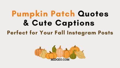 80 Pumpkin Patch Quotes & Cute Captions Perfect for Your Fall Instagram Posts 4 Pumpkin Patch Quotes & Cute Captions