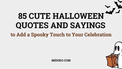 85 Cute Halloween Quotes and Sayings to Add a Spooky Touch to Your Celebration 14 Cute Halloween Quotes and Sayings
