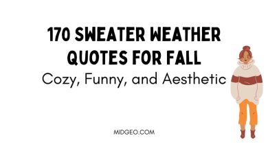170 Sweater Weather Quotes for Fall