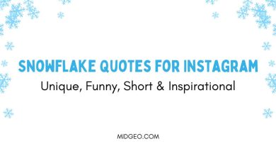 Snowflake Quotes for Instagram Unique, Funny, Short & Inspirational