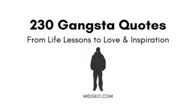230 Gangsta Quotes: From Life Lessons to Love & Inspiration 3 gangsta quotes