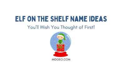 230 Funny Elf on the Shelf Name Ideas You’ll Wish You Thought of First! 10 230 Funny Elf on the Shelf Name Ideas