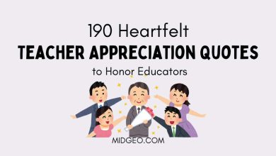Teacher Appreciation Quotes