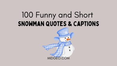 100 Funny and Short Snowman Quotes & Captions 2 funny and short snowman quotes