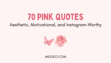 70 Pink Quotes: Aesthetic, Motivational, and Instagram-Worthy 6 70 Pink Quotes Aesthetic Motivational