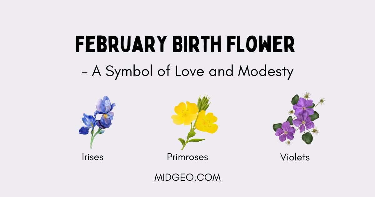 February Birth Flower – A Symbol of Love and Modesty 1 february birth flower a symbol of love and modesty