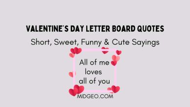 120 Short, Sweet, Funny & Cute Valentine’s Day Letter Board Quotes 3 valentines day letter board quotes