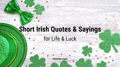 115 Best Short Irish Quotes & Sayings for Life & Luck 11 115 Best Short Irish Quotes & Sayings for Life & Luck