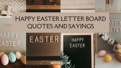 90 Happy Easter Letter Board Quotes and Sayings for 2025 11 90 Happy Easter Letter Board Quotes Sayings