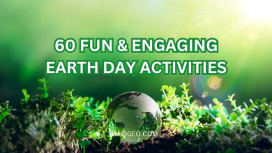 60 Fun & Engaging Earth Day Activities for All Ages in Schools 8 Earth Day Activities for All Ages in Schools