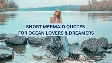 120 Short Mermaid Quotes for Ocean Lovers & Dreamers 3 70 short mermaid quotes for ocean lovers & dreamers